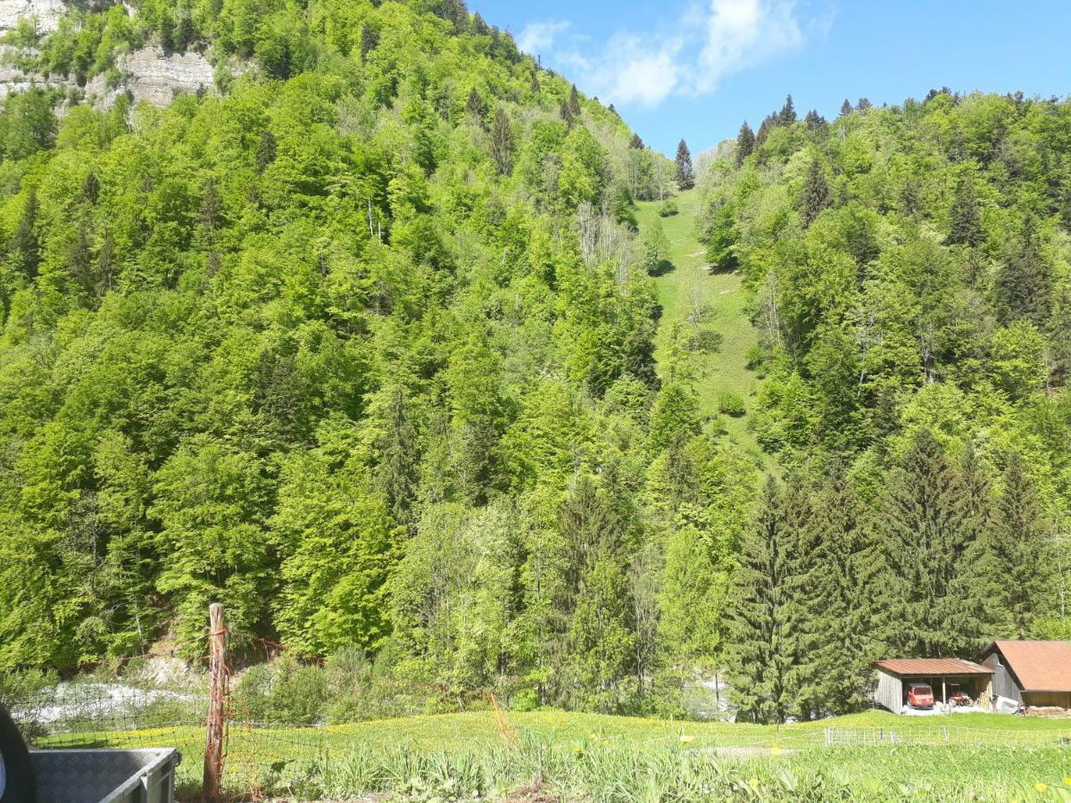 Appartamento Bauernhof Farnach Andelsbuch Esterno foto